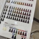 르 시끄(Le Chic)