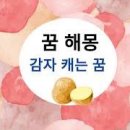 감자수북