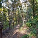 이사주당 유한규묘 이미지