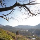 삼애식품 이미지