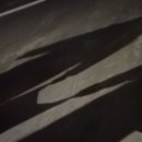 월트코너샵 네이버블로그