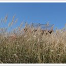 덕산계곡진입로 이미지