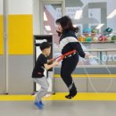 한국체대블랙벨트 이미지