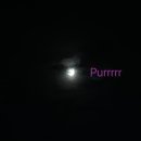 가운이층약국 이미지