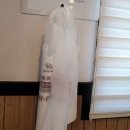 코다리각시 포항이동점 이미지