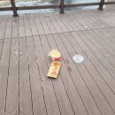 다마당구클럽 이미지