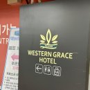 웨스턴 호텔 | [인천] 영종도 구읍뱃터 숙소 웨스턴그레이스호텔 후기