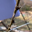 진천군농업기술센터 이미지