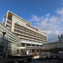 아르피나 이미지