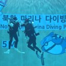 한국해양소년단부산연맹 뉴시스