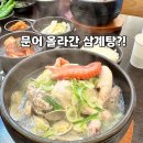송우교 - 양구군 | 포천 삼계탕 해품계 해품삼계탕 먹고 온 내돈내산 솔직 후기
