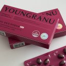 영란이네야식 | 영라뉴 파비플로라 프로틴핏쉐이크 곡물흑임자 내돈내산 다이어트 후기