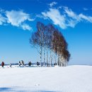 비에이 카카오 검색결과