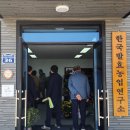 전통발효농법에서 사과 병해 방제 방법을 찾다 네이버 블로그 (naver.com) 이미지