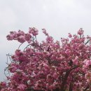 옛고을토속음식점 이미지