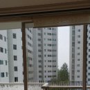 그린셀프크리닝 이미지