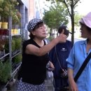 같이삽시다 이미지