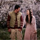 너는내운명 이미지