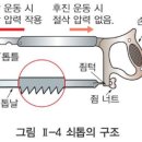 임시 이미지