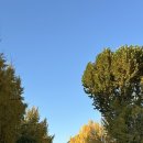 효자로L 이미지