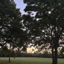 모닝마트연수점 | 영국 어학연수 두번째 이야기(ft.케임브릿지유학원)