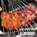 광교 양꼬치 후기 도문일야 내돈내산 광교중앙역 양꼬치집 맛집 추천 콜키지 무료