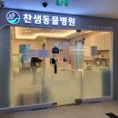 찬샘동물병원