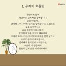 빈야사요가 초급반 이미지