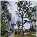 정소장공인중개사사무소 이미지