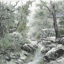 한국화 Daum카페