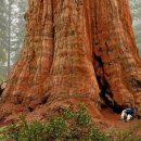 (주)큰나무 이미지