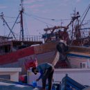 포트 240 이미지