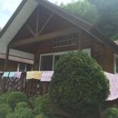 솔내음과 물소리 이미지