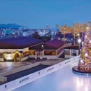 숲속앤정원 이미지