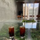 베얼스이얼스(Bear's ears) 이미지