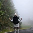 대영힐스CC 이미지