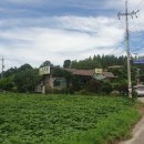 도고면로 이미지