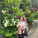 시티세븐 이미지