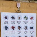 마니산산채 이미지