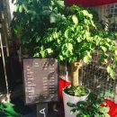 이루다 헤어 이미지