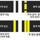 주정차-33 네이버블로그