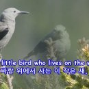 Marianne Faithful/ This little bird 이미지