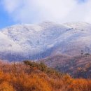 화강문화센터 공연장 이미지