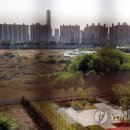 용산-446 이미지