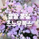 스노우폭스플라워잠실역점