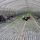 문성농장 이미지