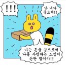 소파 찾아 삼만리 / 리케 수지 쇼룸 방문 후기 - 내돈내산 구매 완