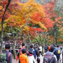 [장성여행]내장산국립공원의 백암산 백양사 애기단풍을 찾아서 . 이미지