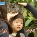 세윤농장 이미지