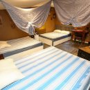 "수한예" 이미지